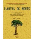 PLANTAS DE MONTE