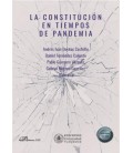CONSTITUCION EN TIEMPOS DE PANDEMIA
