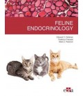 FELINE ENDOCRINOLOGY