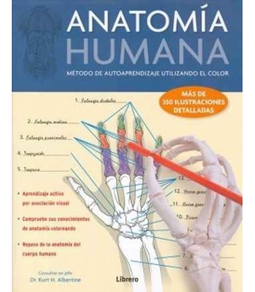 ANATOMIA HUMANA ( APRENDER CON EL COLOR)