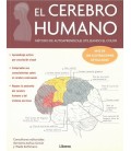 CEREBRO HUMANO