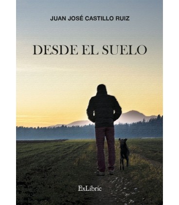 DESDE EL SUELO