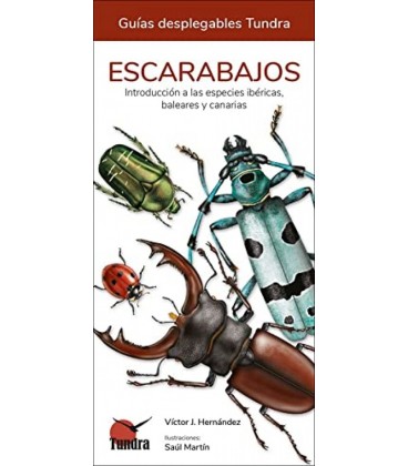 ESCARABAJOS - GUIAS DESPLEGABLES TUNDRA