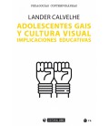 ADOLESCENTES GAIS Y CULTURA VISUAL