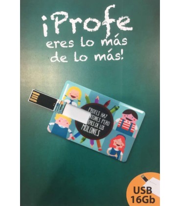 MEMORIA USB 16GB TARJETA PROFE MOLON