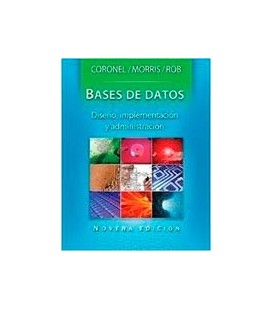 BASES DE DATOS DISEÑO IMPLEMENTACION Y ADMINISTRACION 9 ED