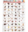 LAMINA ANIMALES