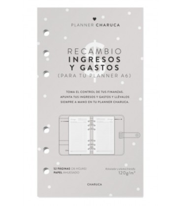 RECAMBIO PLANNER HOJAS DE GASTOS A6