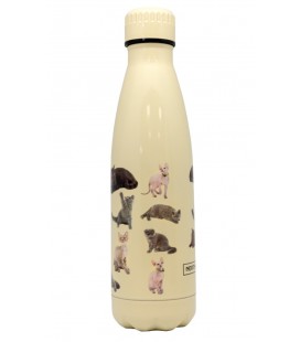 BOTELLA GATOS AMARILLA 500ML DOBLE PARED