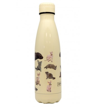 BOTELLA GATOS AMARILLA 500ML DOBLE PARED