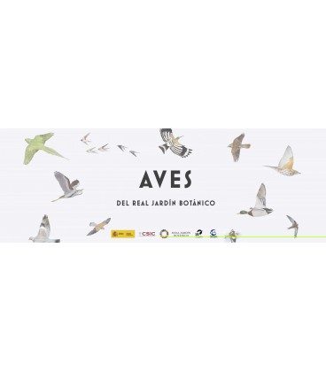 AVES DEL REAL JARDIN BOTANICO