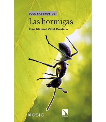 LAS HORMIGAS