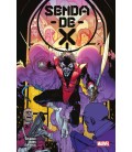 SENDA DE X 01