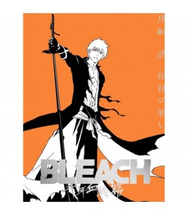 BLEACH MAXIMUM 23