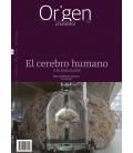 EL CEREBRO HUMANO Y SU EVOLUCION