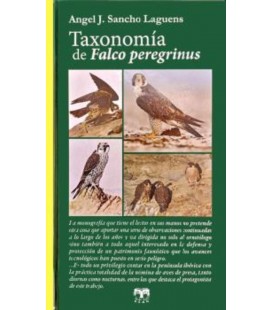 TAXONOMIA DE FALCO PEREGRINUS