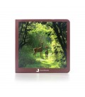 ANIMALES DEL BOSQUE GRANDE