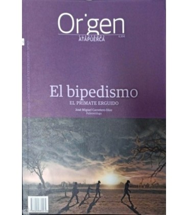 ORIGEN 25 EL BIPEDISMO