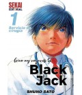 GIVE MY REGARDS TO BLACK JACK 1
