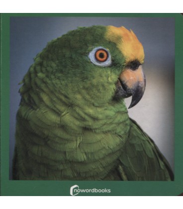 VERDE CARTON