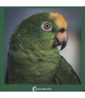 VERDE CARTON