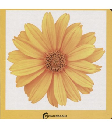 AMARILLO CARTON
