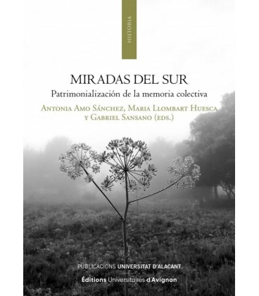 MIRADAS DEL SUR
