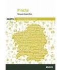 CUESTIONARIOS PINCHE SERVIZO GALEGO DE SAUDE