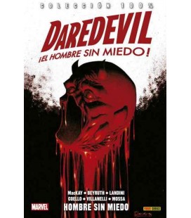 DAREDEVIL EL HOMBRE SIN MIEDO 17