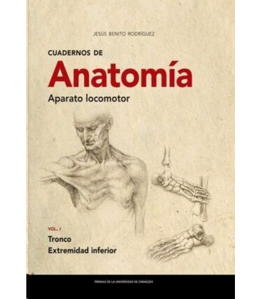 CUADERNOS DE ANATOMIA APARATO LOCOMOTOR