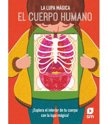 CUERPO HUMANO