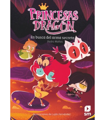 PRINCESAS DRAGON EN BUSCA DEL ARMA SECRETA