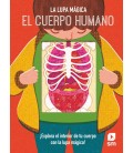CUERPO HUMANO