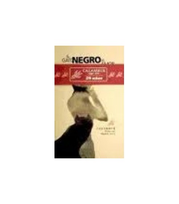 GATO NEGRO DAMOR