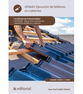 EJECUCION DE FALDONES EN CUBIERTAS (2 EDICION)